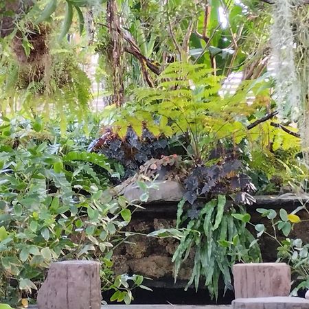 Sareeviengping Hotel Chiangmai شيانغ ماي المظهر الخارجي الصورة