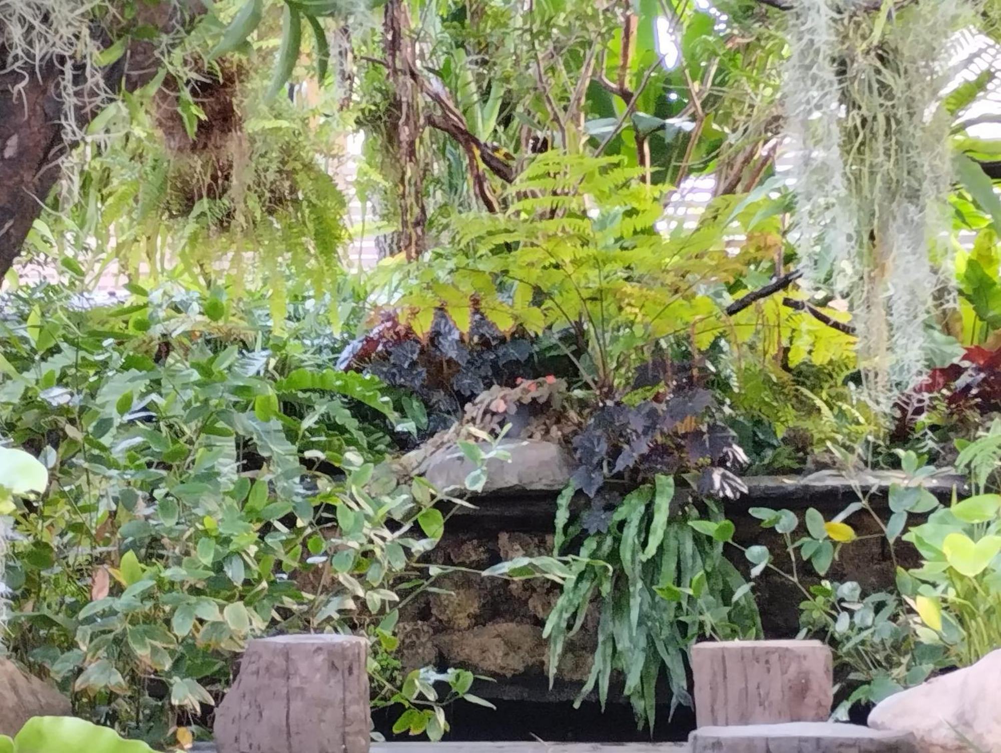 Sareeviengping Hotel Chiangmai شيانغ ماي المظهر الخارجي الصورة
